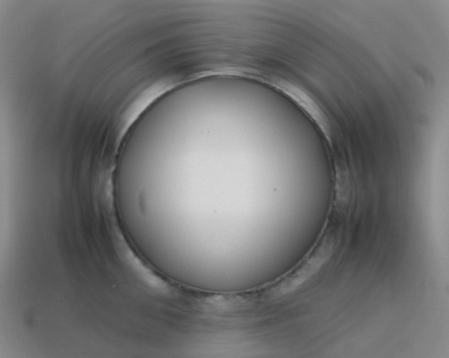 X0000113870906200910081724