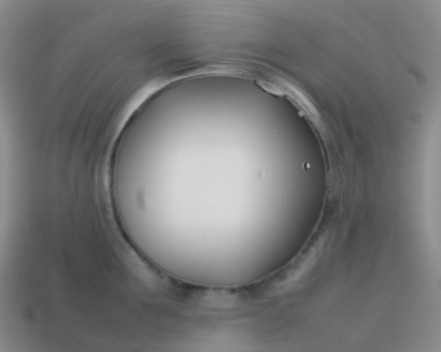 X0000113870907200910081724