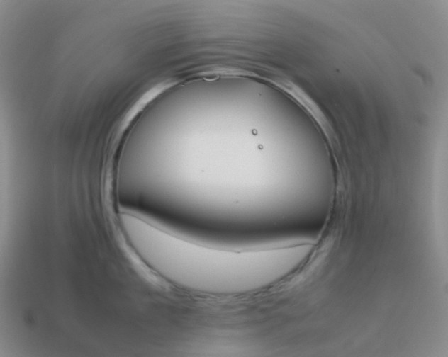 X0000113870909200910081724