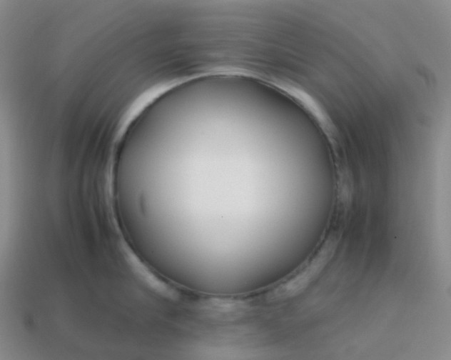 X0000113870910200910081724