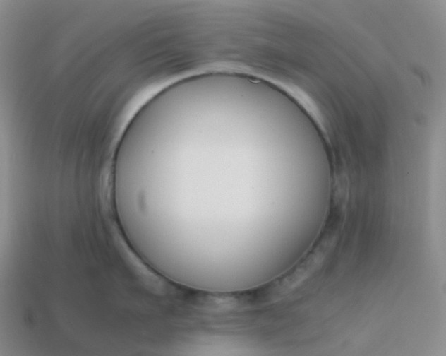 X0000113870911200910081724