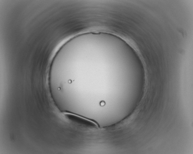 X0000113870912200910081724