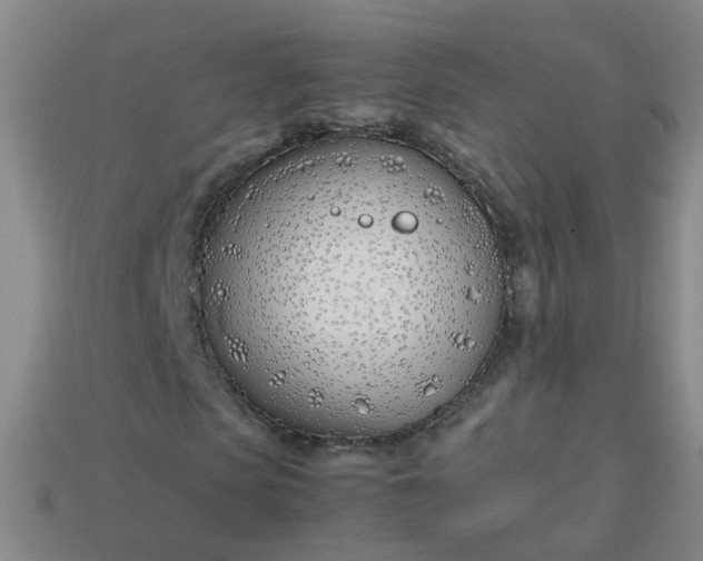 X0000113870913200910081723