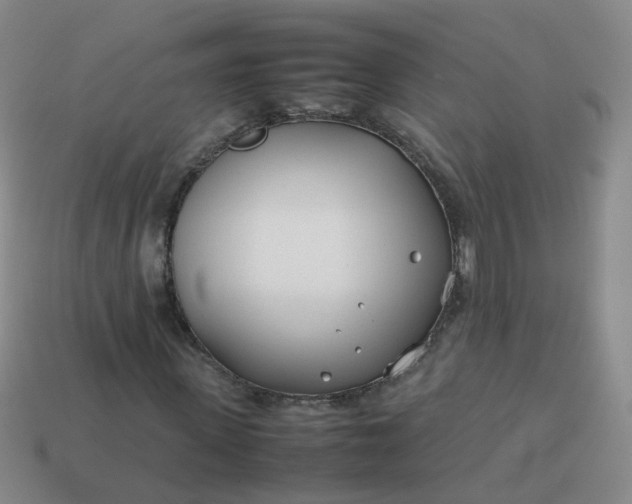 X0000113870915200910081723