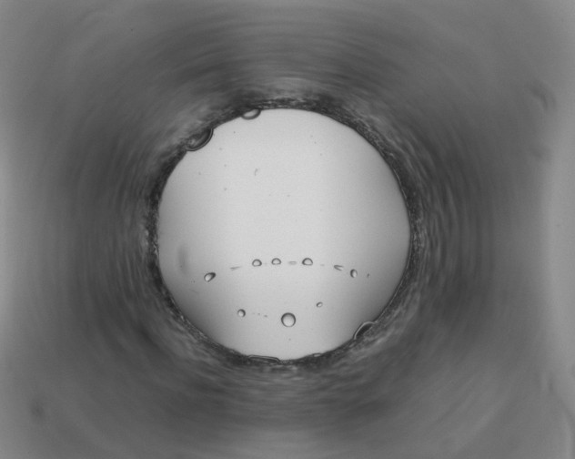 X0000113870916200910081723