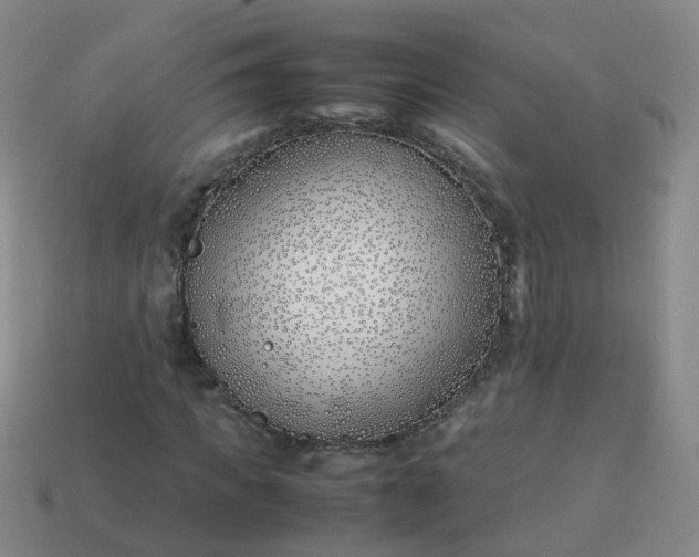 X0000113870917200910081723