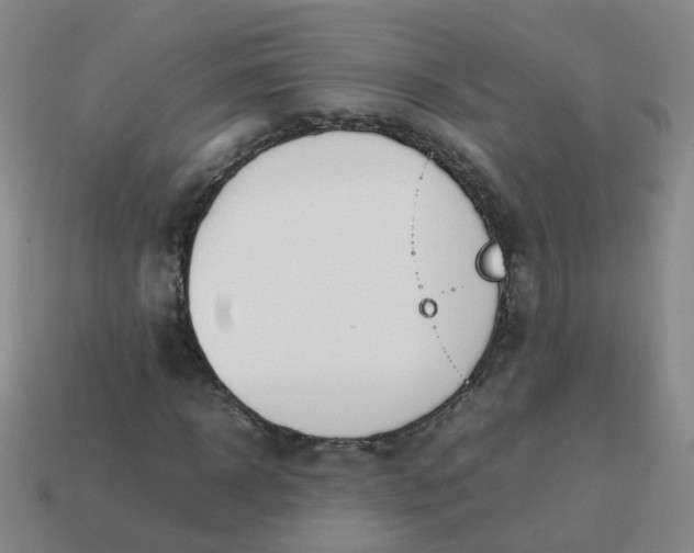 X0000113870918200910081723