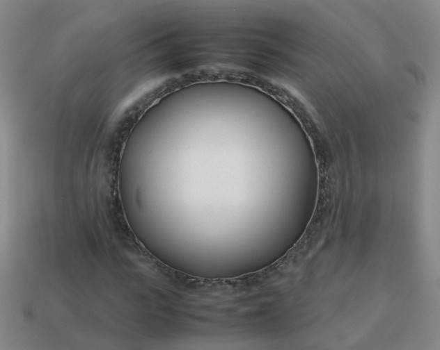 X0000113870919200910081723