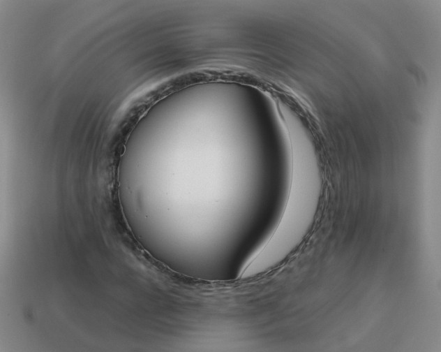 X0000113870920200910081723