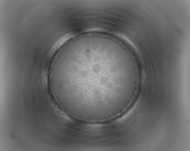 X0000113870921200910081724