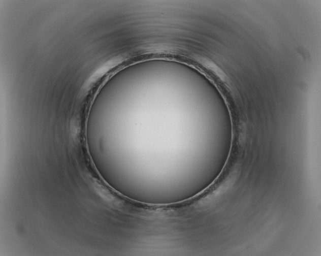 X0000113870922200910081724