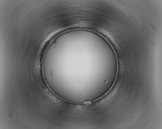 X0000113870923200910081724