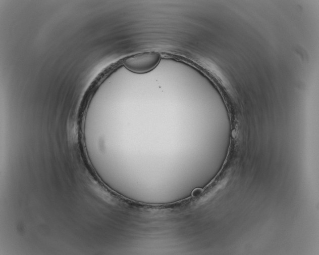 X0000113870924200910081724