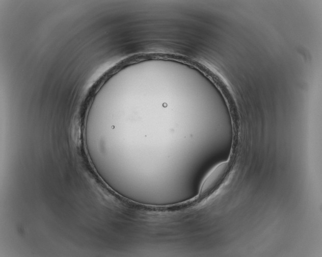 X0000113870925200910081724