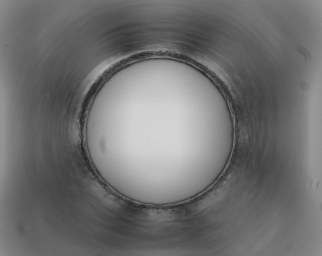 X0000113870927200910081724