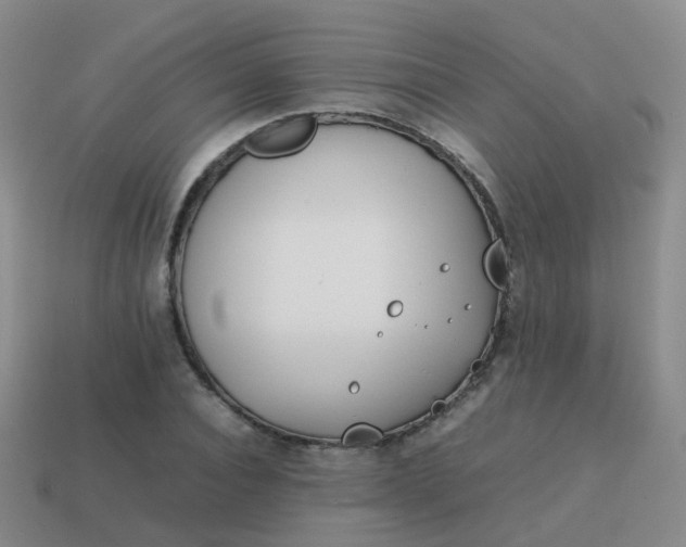 X0000113870928200910081724