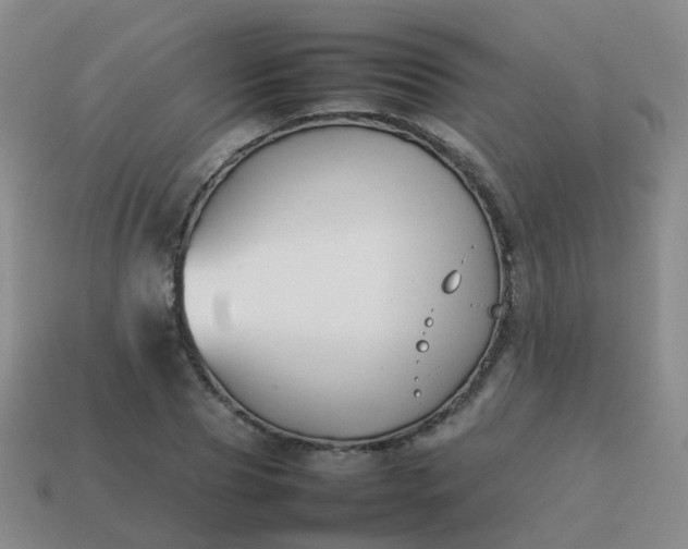 X0000113870929200910081724