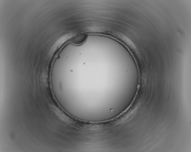 X0000113870930200910081724