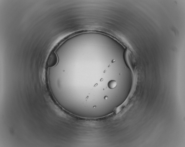 X0000113870932200910081724