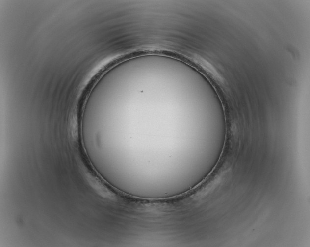 X0000113870934200910081724