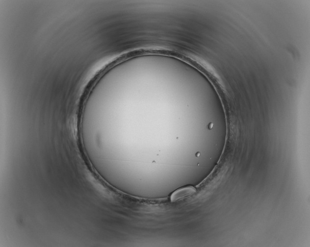 X0000113870935200910081724