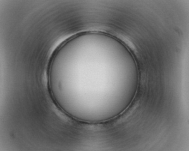 X0000113870936200910081724