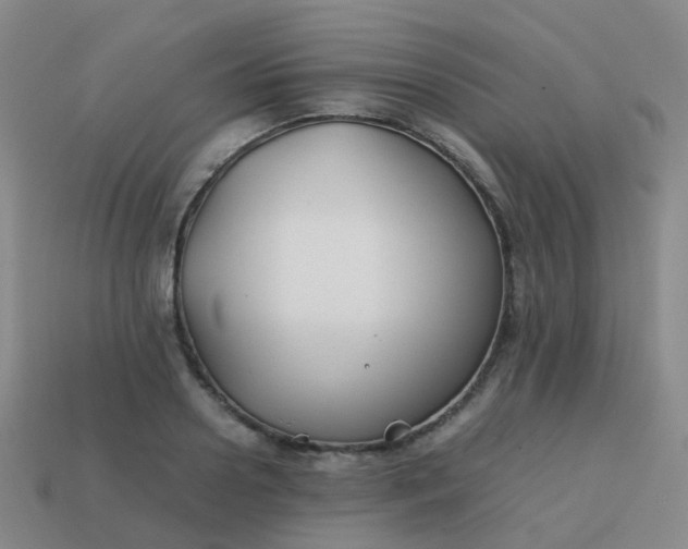 X0000113870938200910081724