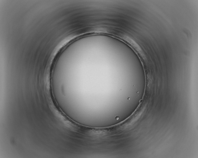 X0000113870939200910081724