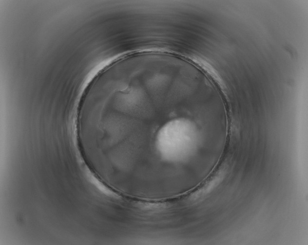 X0000113870941200910081724