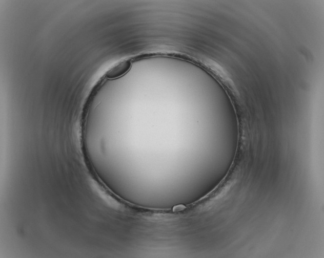 X0000113870942200910081724