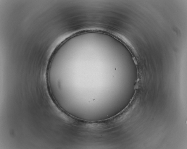 X0000113870943200910081724