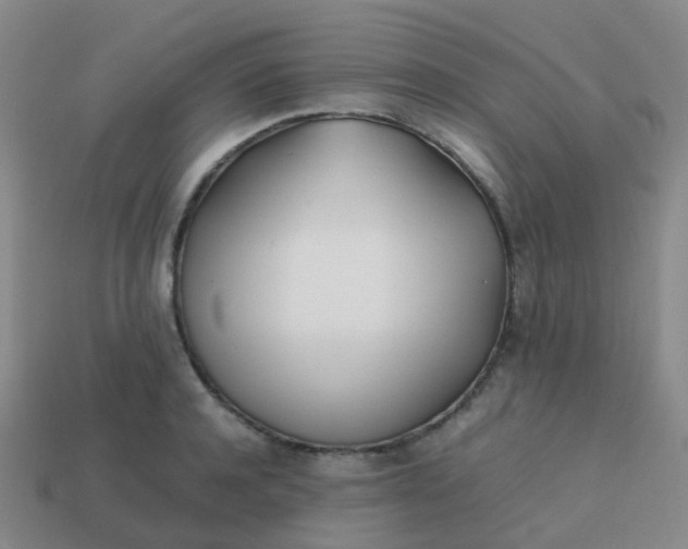 X0000113870944200910081724