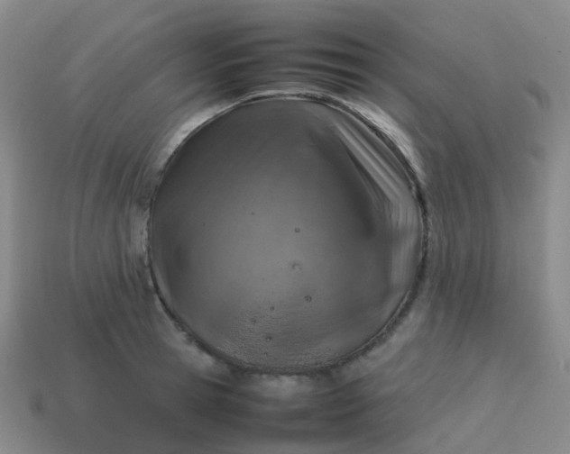 X0000113870945200910081724