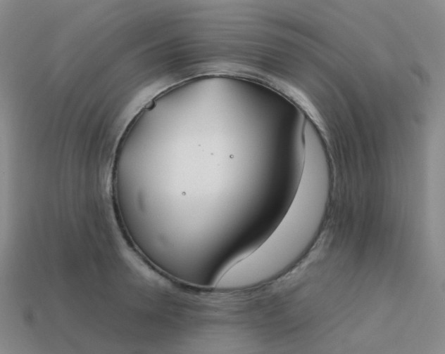 X0000113870946200910081724