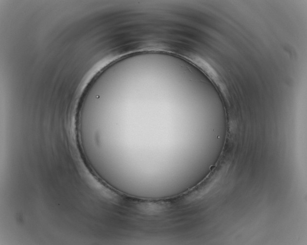 X0000113870947200910081724