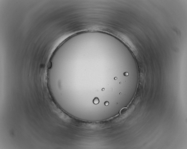 X0000113870948200910081724