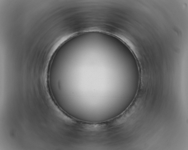 X0000113870949200910081724