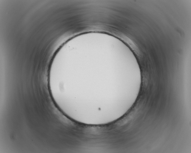 X0000113870950200910081724