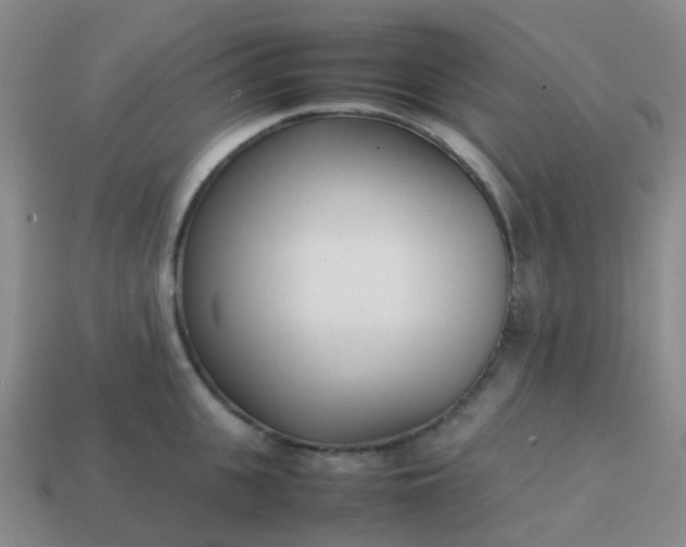 X0000113870951200910081724