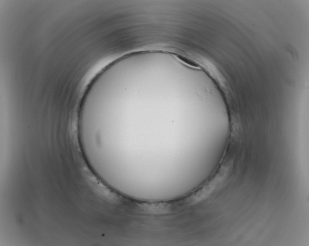 X0000113870952200910081724