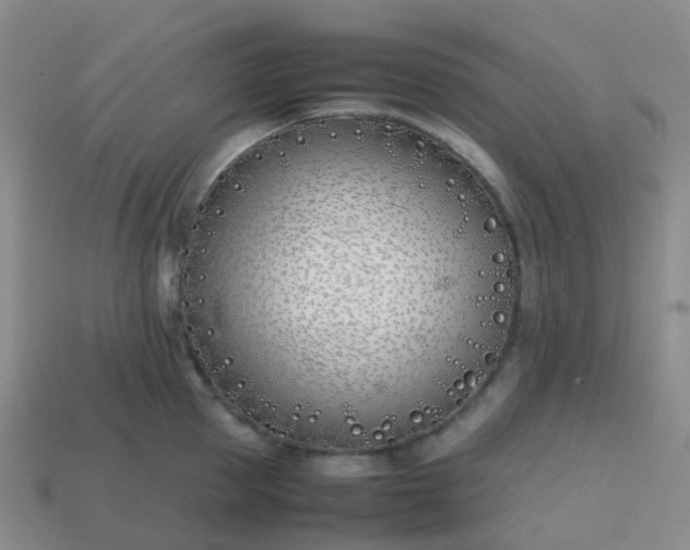 X0000113870953200910081724