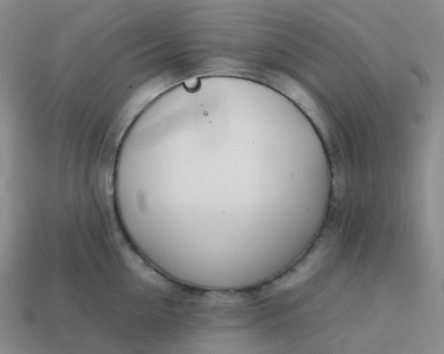 X0000113870954200910081724