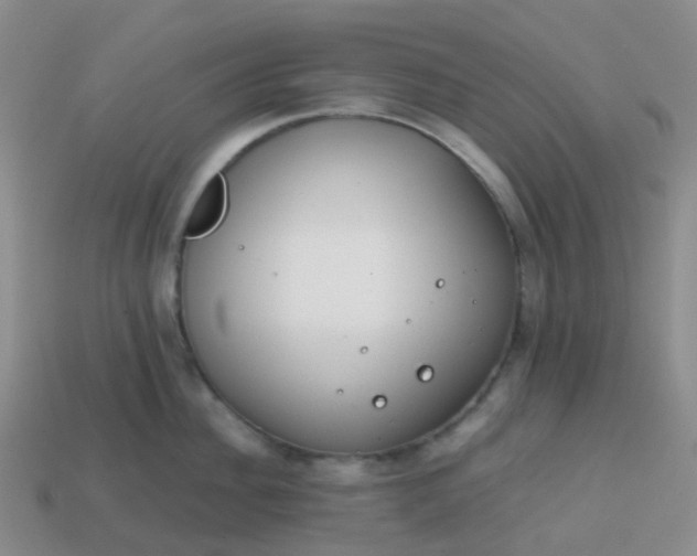 X0000113870956200910081724