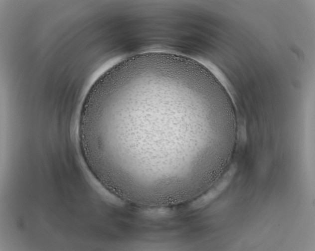 X0000113870957200910081724