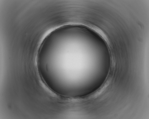 X0000113870958200910081724