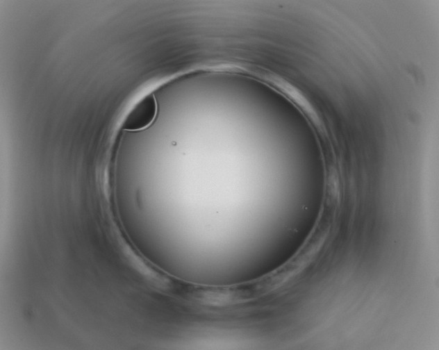 X0000113870959200910081724