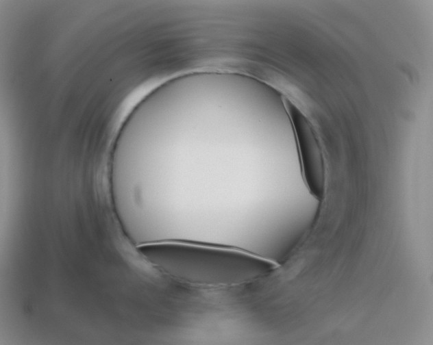 X0000113870960200910081724