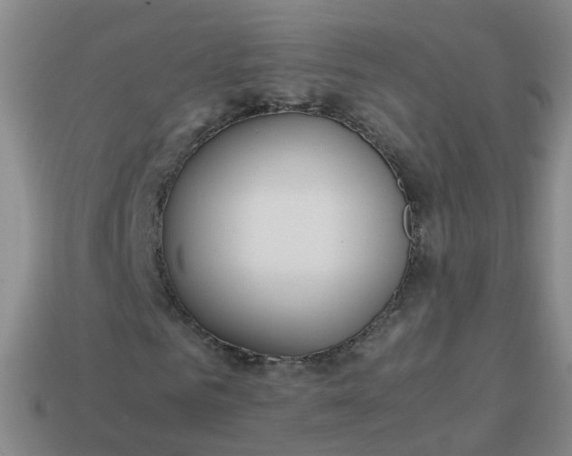 X0000113870961200910081723