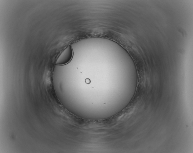 X0000113870962200910081723