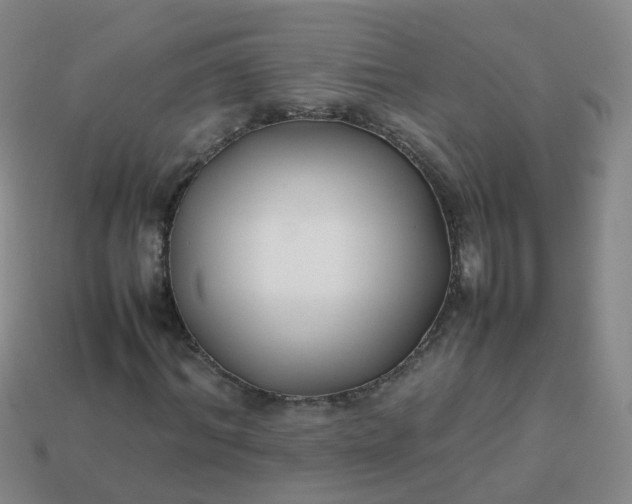 X0000113870964200910081723